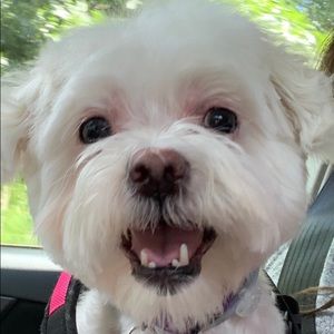 Meet your Posher, Sally